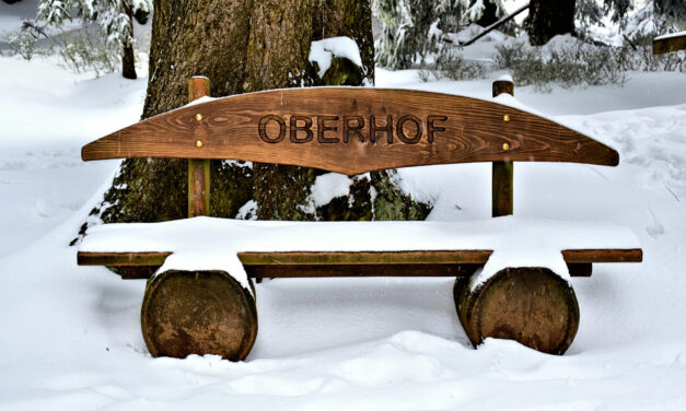 Biathlon-Weltmeisterschaft in Oberhof