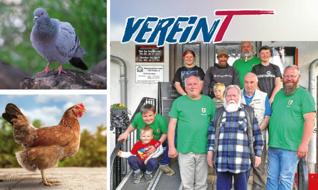 Vereine des Erbstromtals stellen sich vor
