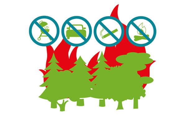 Mehr als jeder dritte Waldbrand menschengemacht