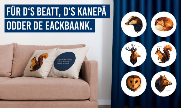 Kissen mit Rühler Mundart erhältlich!