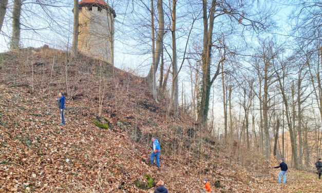 Gemeinsam für die Thaler Scharfenburg