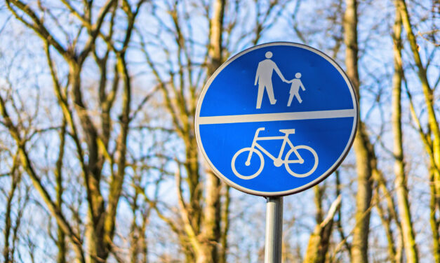 Machen Sie sich fit für den Straßenverkehr!